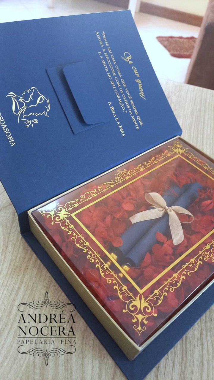 Convite de 15 anos da Sofia Fereguetti Convite de 15 anos da Sofia Fereguetti